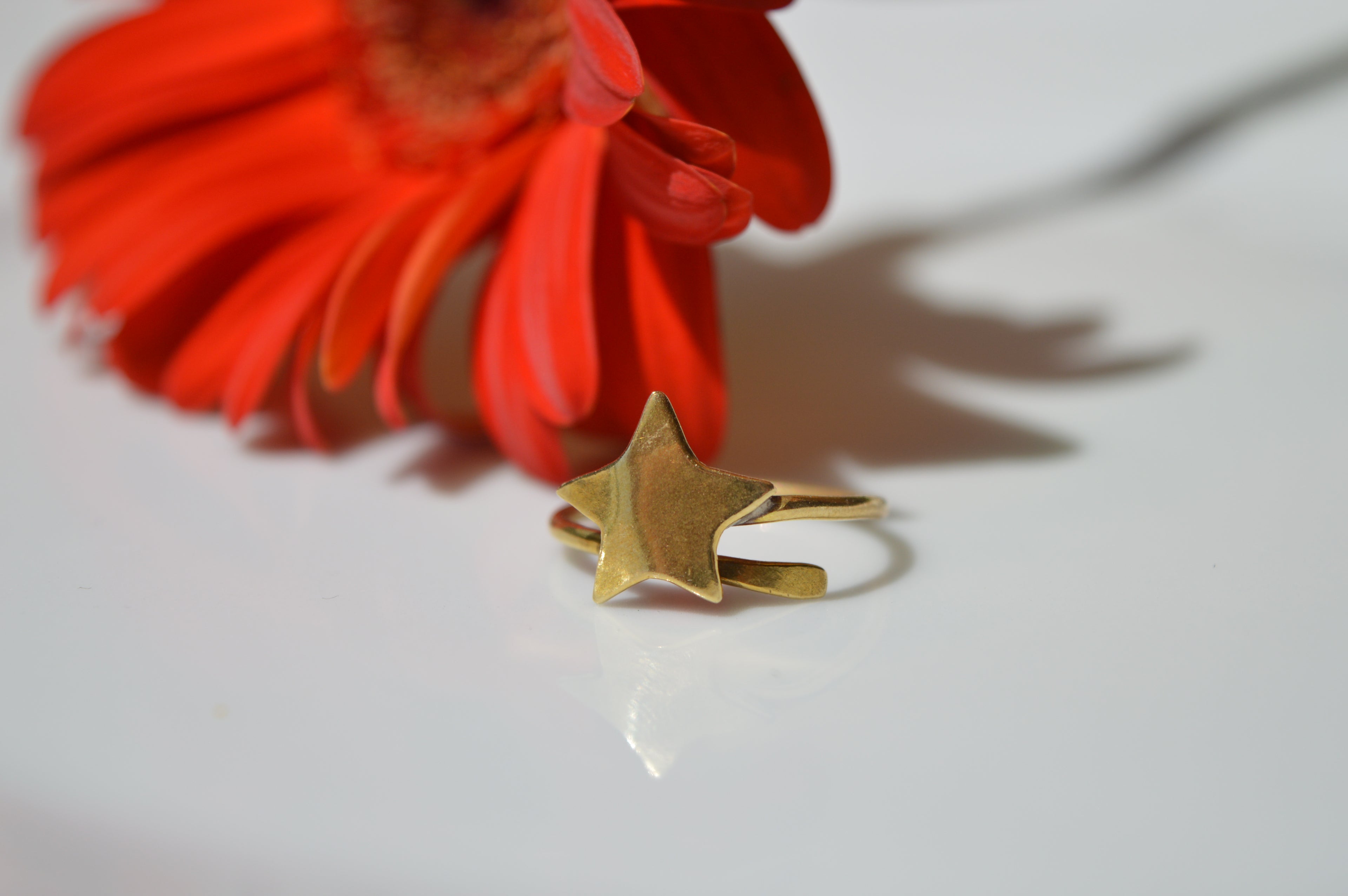 Anello Halley