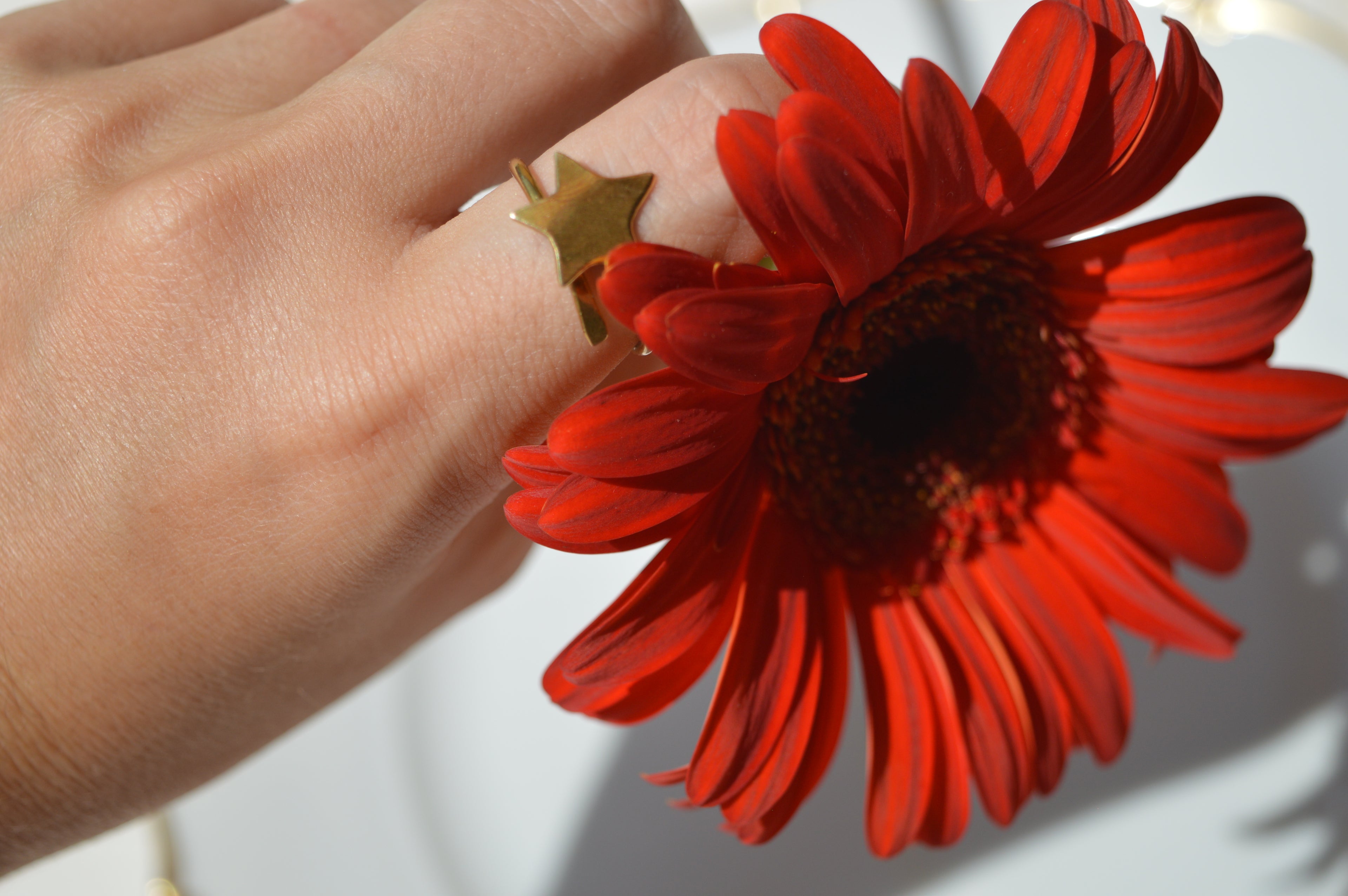 Anello Halley