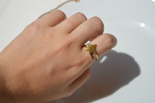 Anello Halley